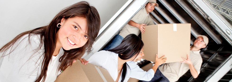 Professional Removalists Mount Hutton QLD